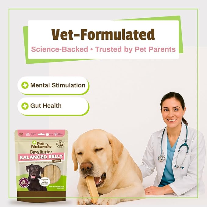 Pet Naturals BusyButter Balanced Belly Peanut Butter Bones, Rawhide-Free Chews for Medium/Large Dogs, Long Lasting Chew Bones, Probiotics and Pumpkin for Gut Health, 4 Count