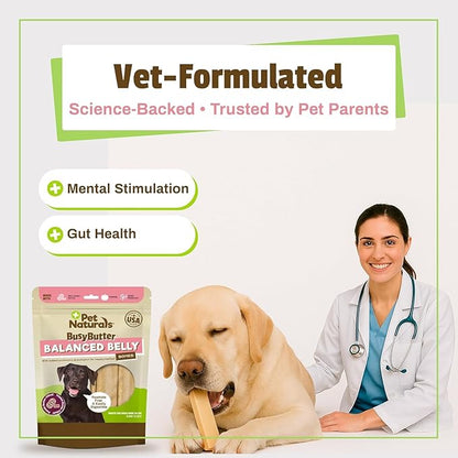 Pet Naturals BusyButter Balanced Belly Peanut Butter Bones, Rawhide-Free Chews for Medium/Large Dogs, Long Lasting Chew Bones, Probiotics and Pumpkin for Gut Health, 4 Count