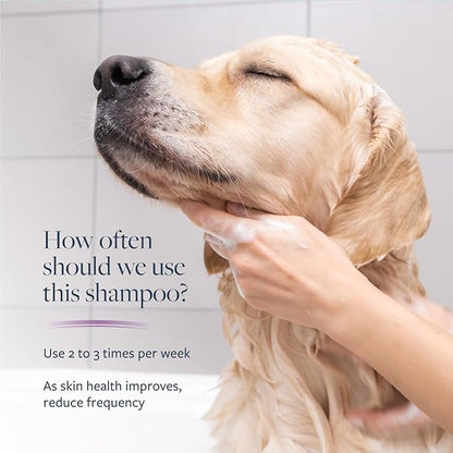Veterinary Formula Clinical Care Antiparasitic & Antiseborrheic Medicated Dog Shampoo, 128oz – Help Alleviate Your Dog's Flaky Skin and Coat – Paraben, Dye, Soap Free