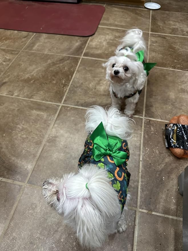 St. Patrick's Day Dog Costume Dress S, Green Shamrock and Horseshoe Print with Satin Bow, Pet Outfit for 6-7 lbs Dogs and Cats, Festive Holiday Apparel