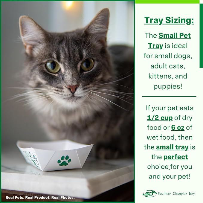 SCT, Small Disposable Pet Food Bowl, 1/2 Cup (100 Quantity) Pet Food Tray, Travel Pet Bowl, Feeding Kittens, Puppies, Cats, and Dogs, Wet Food and Dry Food, 6 oz Capacity