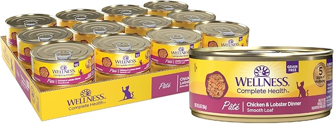 Wellness Complete Health Pate Adult Canned Wet Cat Food, Natural, Protein Rich, Grain Free, Chicken and Lobster Dinner Recipe, 5.5 oz, Pack of 24 Cans