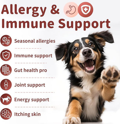 Turkey Tail Mushroom for Dogs, Dog Allergy Chews, Probiotics for Dog Allergy Relief - Itchy Skin Allergy Paw Relief - Seasonal Allergies & Immune Gut Health & Joint, Chicken Flavor - 90 Count