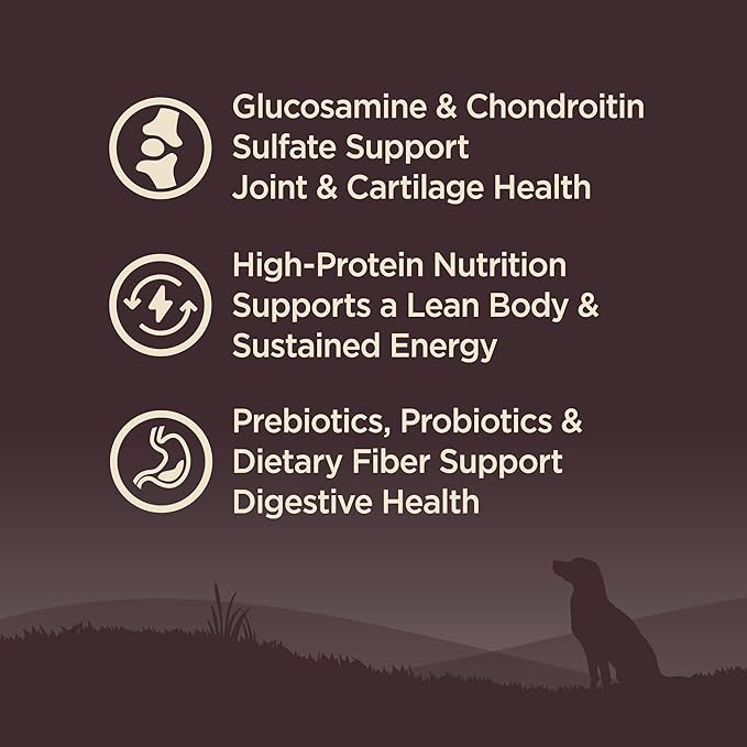 Wellness CORE Age Advantage Senior Dry Dog Food, Grain Free Kibble, Natural, High Protein, Turkey and Chicken Recipe, 12 lb Bag