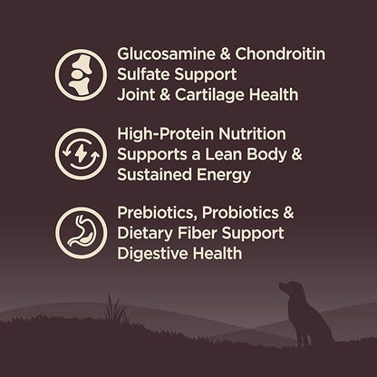 Wellness CORE Age Advantage Senior Dry Dog Food, Grain Free Kibble, Natural, High Protein, Turkey and Chicken Recipe, 24 lb Bag