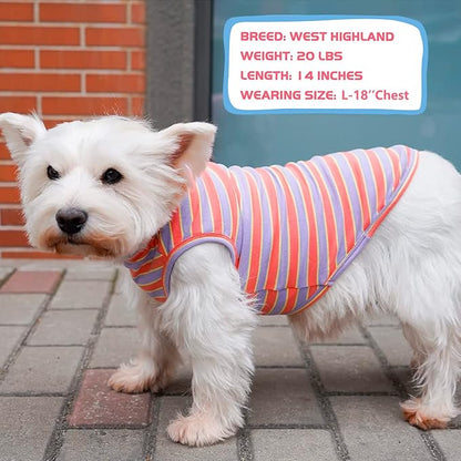 KYEESE 2Pack Dog Shirt, Soft Striped Dogs T Shirts, Lightweight Pet Tank Top, Sleeveless Dog Shirt for Small Dogs, Stretchy Comfortable Pet Vest, Purple+Orange Striped, XL