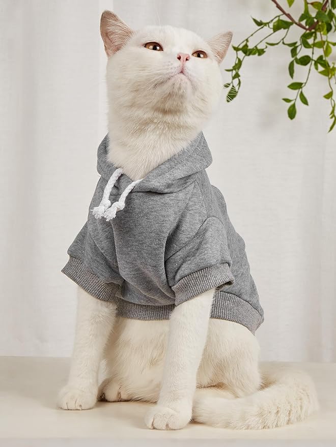 QWINEE Basic Dog Hoodie Sweatshirt Puppy Sweater Warm Cat Costumes Pet Clothes for Chihuahua Puppy Kitten Small Medium Dogs Black Green and Grey Medium