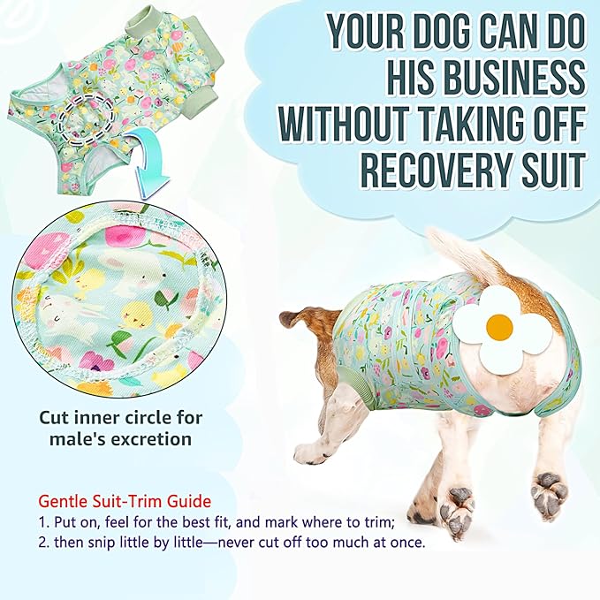 Lukovee Recovery Suit for Dogs, Zipper On Dog Surgery Suit for Female Male Dog, Onesies Bodysuit Prevent Licking Spay Abdominal Wounds Bandages E-Collar Alternative (Green, L)