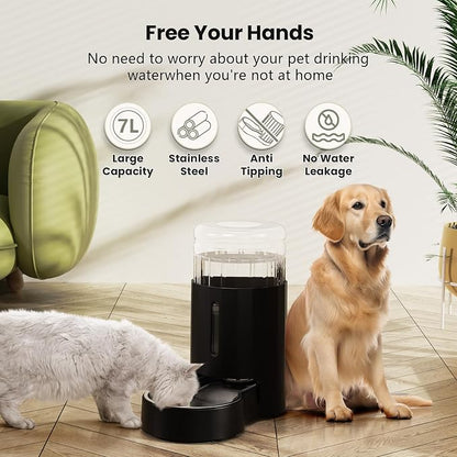 CZPET Dog Water Bowl Dispenser 7L, Wider Mouth Gravity Refilling (Black) | With Stainless Steel Bowl Gravity Waterer, Large Capacity and Drinking Area Noise-Free for Pets
