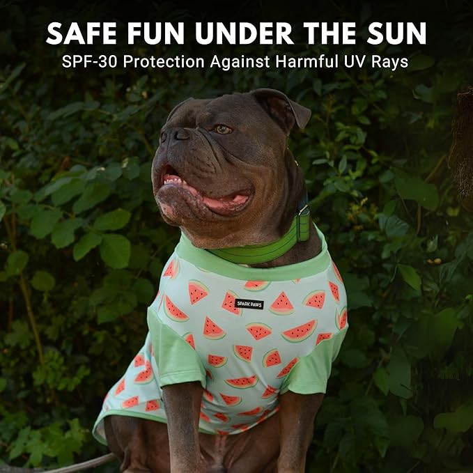 Spark Paws Sunblock Dog T-Shirt, SPF30 Protection, Lightweight Breathable Quick Dry for Dogs with Sensitive Skin - Watermelon & Peach (Set of 2) - 3XL