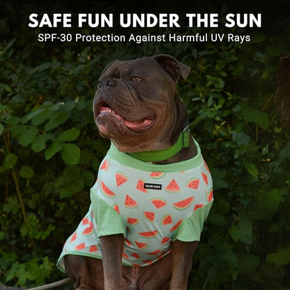 Spark Paws Sunblock Dog T-Shirt, SPF30 Protection, Lightweight Breathable Quick Dry for Dogs with Sensitive Skin - Watermelon & Peach (Set of 2) - 3XL