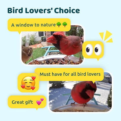 NETVUE by Birdfy Smart Bird Feeder with Camera – AI Identifies Birds Species 2MP Night Vision & App Alerts, 2.4Ghz Wi-Fi Connect IP65 Weatherproof Bird Camera-Gift for Backyard BirdWatchers, Blue