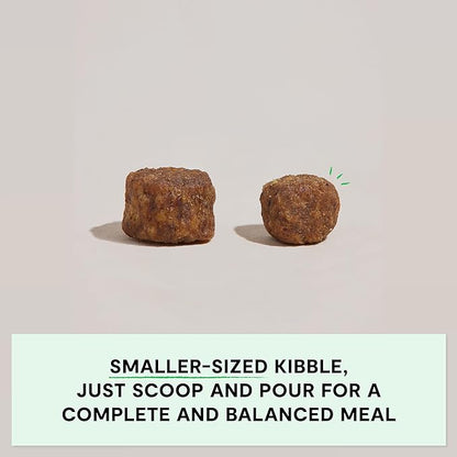 Open Farm, Grain-Free Dry Dog Food for Small Breeds, High-Protein Kibble, Sustainably & Ethically Sourced Ingredients, Non-GMO Veggies & Superfoods, Chicken & Turkey Recipe for Small Dogs, 11lb Bag