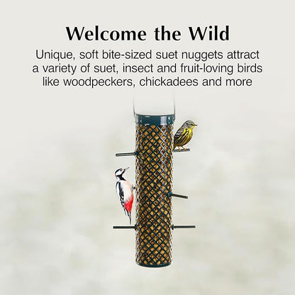 C&S Sunflower Suet Nuggets, Wild Bird Food for Woodpeckers, Chickadees, Nuthatches, and More., 27 Ounces