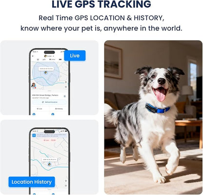 AI GPS Dog Tracker, Virtual Fence & AI Health Monitor, Waterproof
