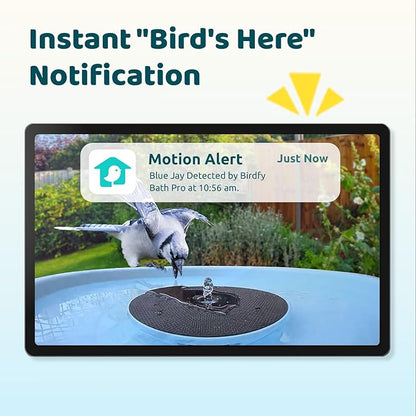 Birdfy Smart Bird Bath with Camera Solar Powered & Fountain, Dual-Lens Camera for Wildbird Watching, Auto Capture Bird Videos & Motion Detection - AI by Subscription (Blue)