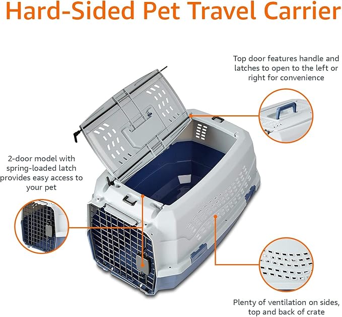 Basics Sturdy Portable 2-Door Top-Load Hard-Sided Pet Travel Carrier with Secure Ventilation, Handle, Front & Top Entry for Dogs, Cats, 22.8"L x 15"W x 13"H, Gray & Blue