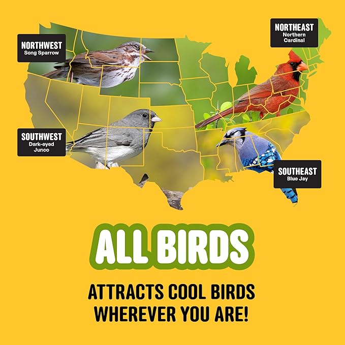Cool Birds All Birds Wild Bird Seed – 10 lb. Classic Blend with Black Oil Sunflower, White Millet, Safflower, Peanuts & Sunflower Hearts – Balanced Bird Food for Outside Feeders