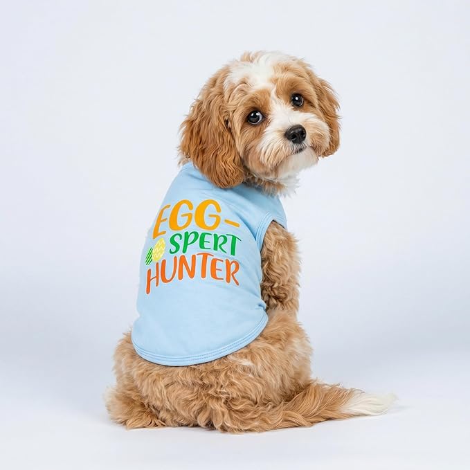 Fitwarm Egg-spert Hunter Dog Easter Outfit, Summer Clothes for Small Dogs Boy Girl, Pet Outfit, Blue, Red, Green, Orange, Large