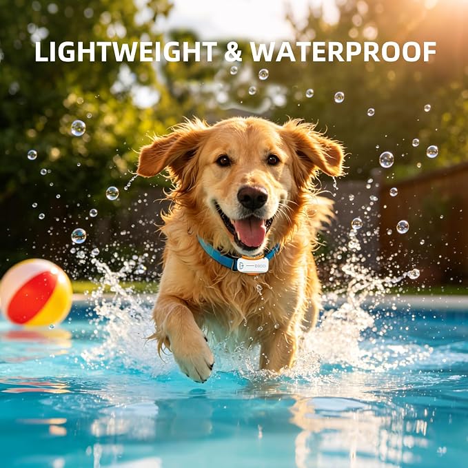 A golden retriever running through a swimming pool wearing a blue waterproof pet collar with a white tag. The text 'LIGHTWEIGHT & WATERPROOF' is displayed at the top, with a red and yellow beach ball floating nearby and water droplets in the air.