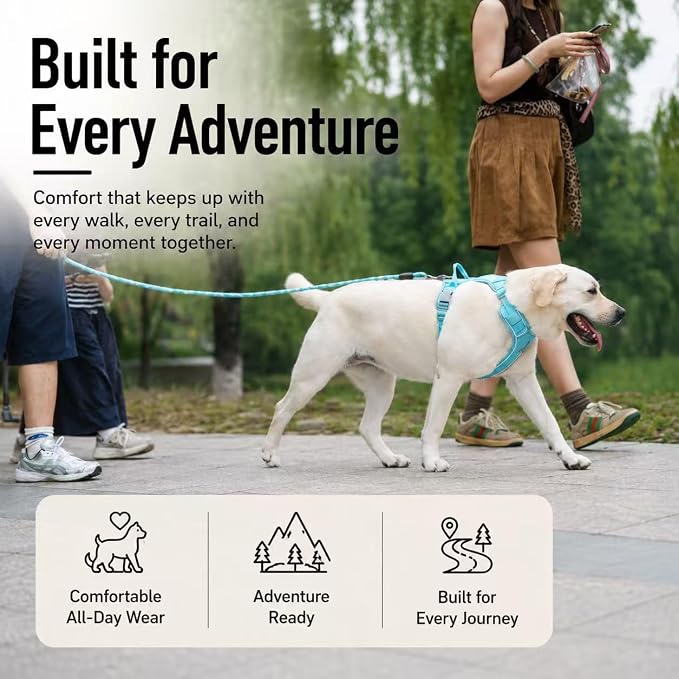 No Pull Dog Harness with Built-in Hidden AirTag & GPS Tracker Holder, Reflective Adjustable Escape-Proof Vest Harness for Small & Medium Dogs (Blue, S)