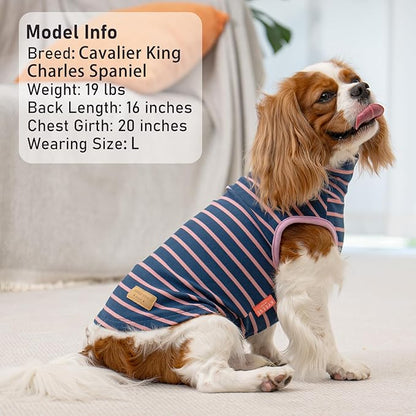 KYEESE 2Pack Dog Sweater Pullover Dog Sweaters for Small Dogs Girl Soft Dogs Clothes Stretchy Pet Sweatshirt Warm Pets Clothes Small Pets Sweaters Turtleneck Pet Coats