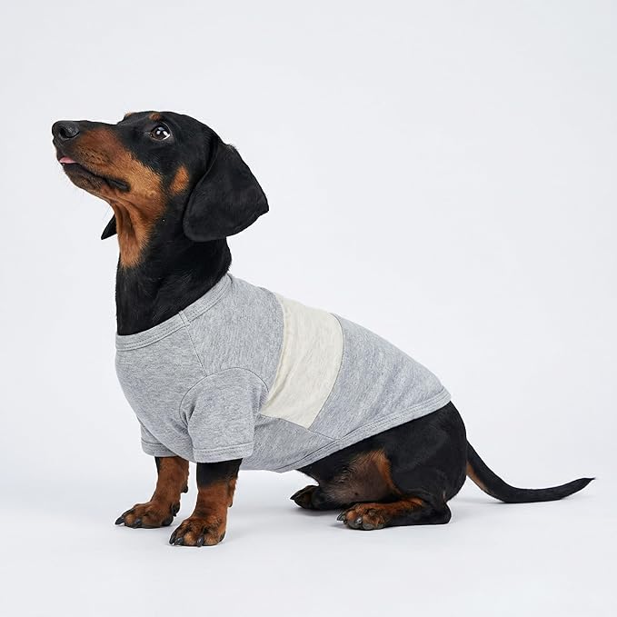 Fitwarm 3 Pack Color Block Striped Dog Shirt, Summer Dog Clothes for Small Dogs, Breathable Lightweight Pet Tshirt with Sleeves, Cat Outfit, Oliver Green, Grey, Black, Medium