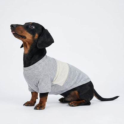 Fitwarm 3 Pack Color Block Striped Dog Shirt, Summer Dog Clothes for Small Dogs, Breathable Lightweight Pet Tshirt with Sleeves, Cat Outfit, Oliver Green, Grey, Black, Medium