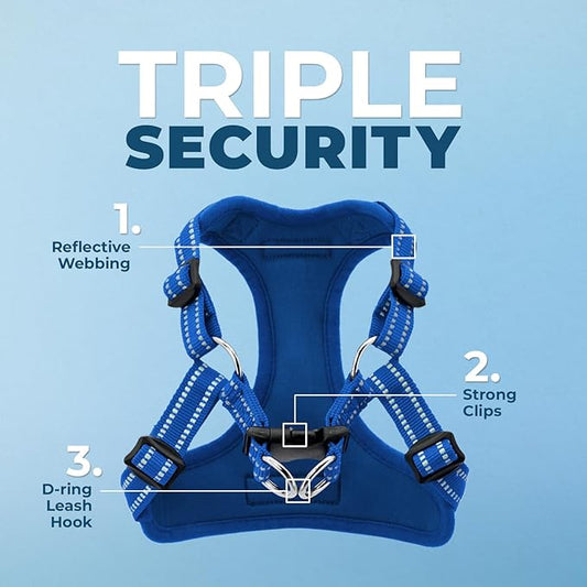 Best Pet Supplies Voyager Adjustable Step-in Flex Breathable Mesh Dog Harness for Small Medium Large Dogs Leash Set (Royal Blue), XS