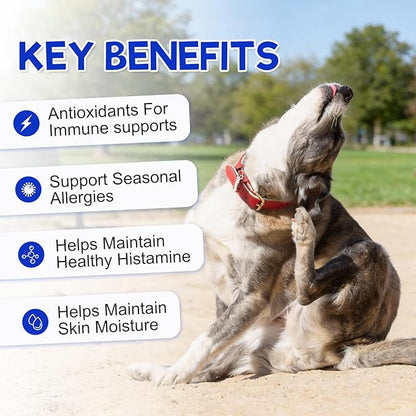 Dog Allergy Relief Chews – Vet Formulated Itch Relief for Dogs with Seasonal Allergies, Skin Health & Immune Support – Natural Anti-Itch Supplement with Multivitamins for Hot Spots – 120 Chews