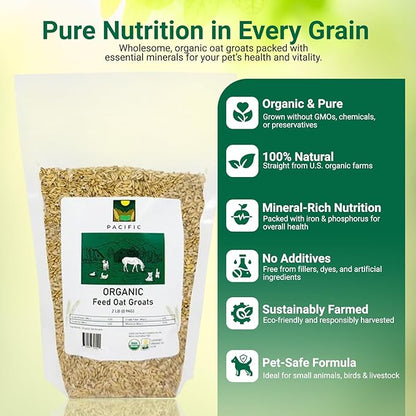 PACIFIC Organic Petfood Organic Feed Oat Groats - Oat Groats for Birds | Rich with Fiber & Minerals | USDA and CCOF Certified | Packed in USA | 2Lbs