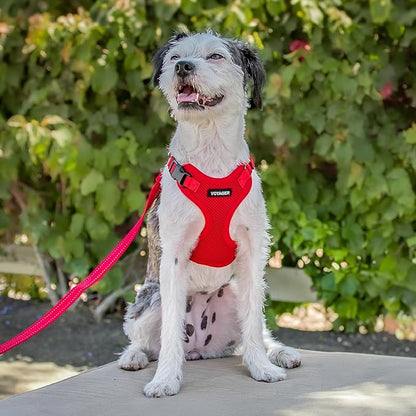 Voyager Step-in Pet Harness - All Weather Mesh, Adjustable Step in Harness for Cats and Dogs by Best Pet Supplies - Red, M