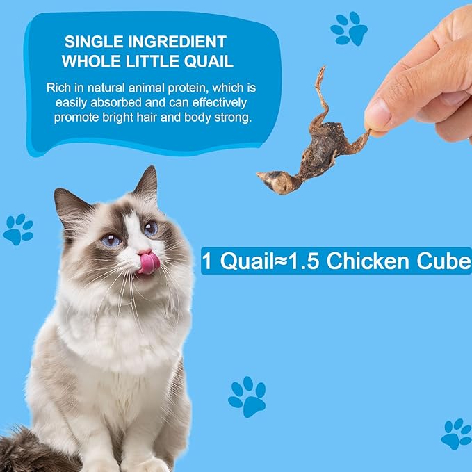 Dylan's cabin Freeze Dried Little Quail - Single Ingredient Cat and Dog Treats Natural Animal Protein Healthy Tasty Snacks for Training (85g)
