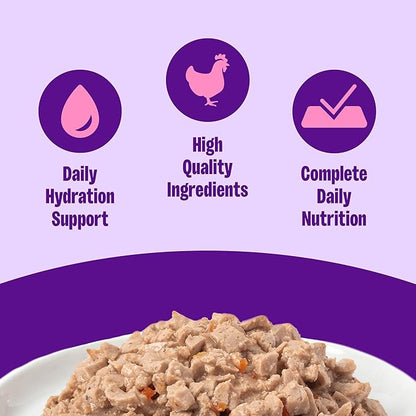 Wellness Complete Health Pate Adult Canned Wet Cat Food, Natural, Protein Rich, Grain Free, Chicken Entrée Recipe, 5.5 oz, Pack of 24 Cans