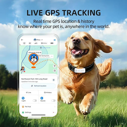 GPS Dog Tracker, 12-Mo Sub, Real-Time Loc, E-Fence, Health Monitor