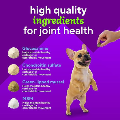 VitaFusion Dog Hip and Joint Supplement Glucosamine, Chondroitin, MSM, Omega-3 & Green-Lipped Mussel, Superfoods Blend. Flexibility and Cartilage Health. Wellness for Puppies to Senior Dogs,120 Chews.