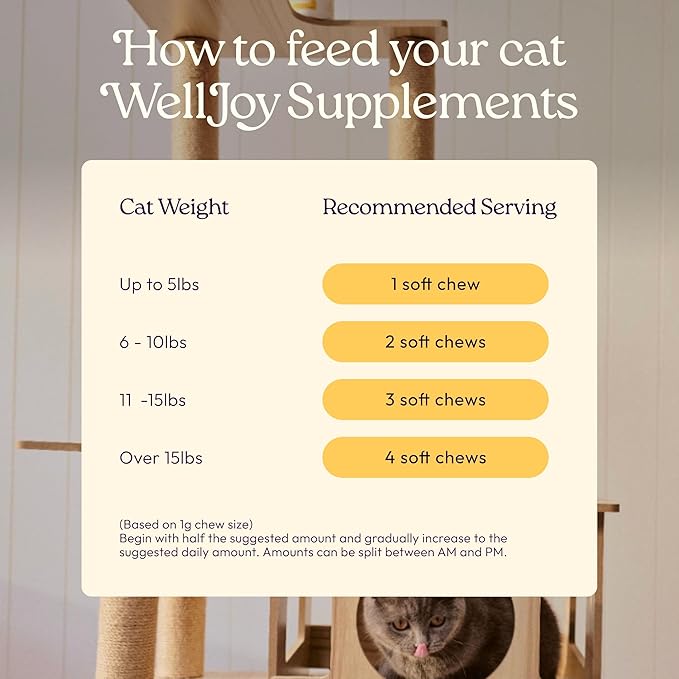 New! WellJoy Cat Supplement Immune+ GutBoost | Cat Health Supplement | with Lysine | Enhances Immune Response | Dual-Benefit Formula | Vet Formulated | Made in USA | Chicken Flavor | 90 Soft Chews