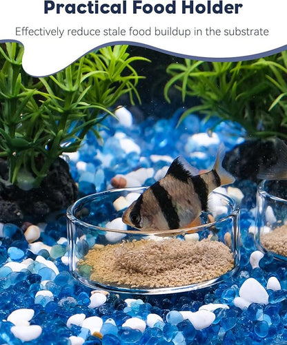 Pawfly 3 Pcs Shrimp Feeding Dish, Clear Glass Aquarium Shrimp Feeder, Transparent Food Tray for Fish Tanks and Terrariums