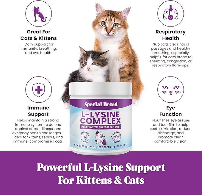 Special Breed L-Lysine for Cats and Kittens – Immune, Respiratory and Eye Support – Cat Sneezing and Runny Nose Relief – Lysine Powder with Prebiotics, Krill, Bone Broth and DMG – 120 Servings