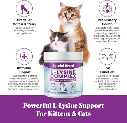 Special Breed L-Lysine for Cats and Kittens – Immune, Respiratory and Eye Support – Cat Sneezing and Runny Nose Relief – Lysine Powder with Prebiotics, Krill, Bone Broth and DMG – 120 Servings