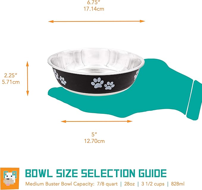 Food Bowl & Water Bowl for Dogs & Cats | Designer Series: Paw Print Detail, Stainless Steel & Black, 28 oz (FPP-Black M)