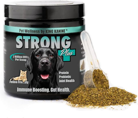 King Kanine Strong Plus Probiotic, Protein & Joints 6 oz | Organic Powder to Improve Join Mobility & Gut Health | Supplement for Dogs Care Made with Minerals & Vitamins | Veterinarian Approved