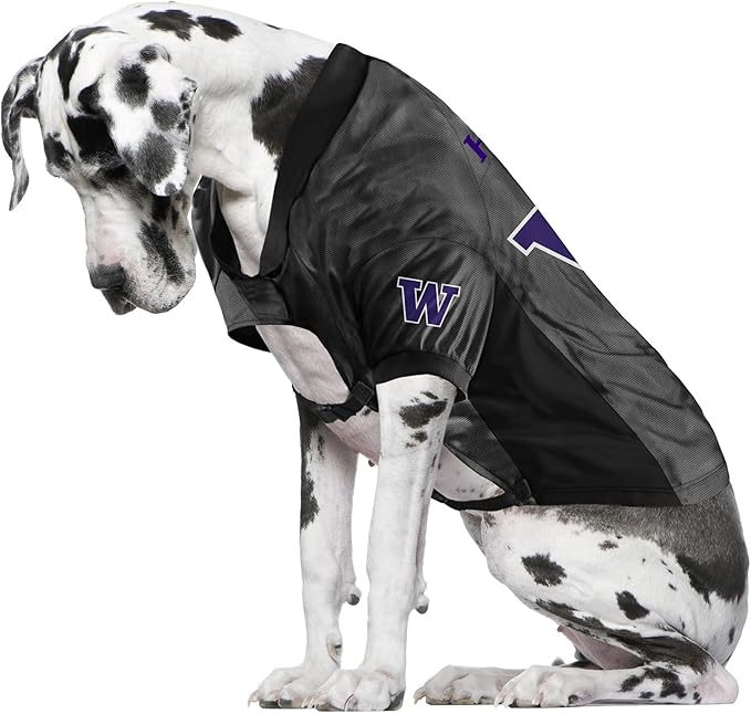 Littlearth NCAA Stretch Pet Jersey for Big Dogs