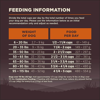 Wellness CORE Adult Dry Dog Food, Grain Free Kibble, Natural, High Protein, Turkey and Chicken Recipe, 12 lb Bag