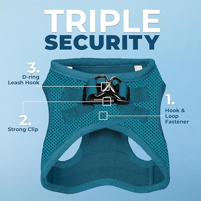 Best Pet Supplies Voyager Step-in Air Harness - All Weather Mesh, Reflective, No Pull Harness for Dogs, Cats - Secure with Hook & Loop Fastener, Buckle, Double D-Rings - Turquoise, M