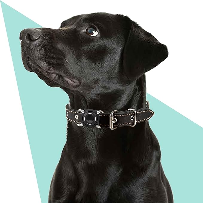 Waterproof Dog Collar Holder for Airtag – Dustproof, Ultra-Durable, Shockproof Case Compatible with Apple Air Tag (Not Included), Anti-Loss GPS Tracker Cover for Pets, Dogs, Cats