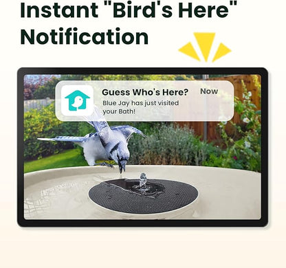 Birdfy Smart Bird Bath with Camera Solar Powered & Fountain, Dual-Lens Camera for Wildbird Watching, Auto Capture Bird Videos & Motion Detection - AI by Subscription (Yellowstone)