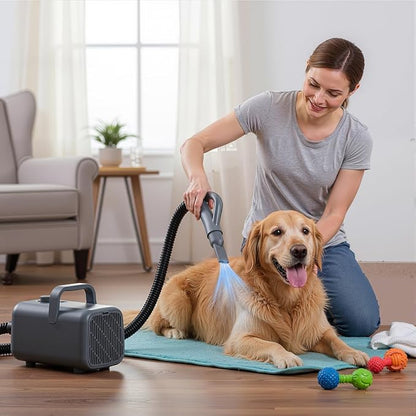 DUMOS Dog Blow Dryer Grooming Vacuum Kit, Cat Dog Hair Dryer with Adjustable Wind Speed & Heater Temperature, Cool-Warm-Hot Cycle Mode, 4 Nozzles, 6.5 FT Cord for Low Noise Pet Hair Remover - Grey