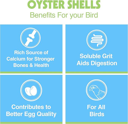 Hari Oyster Shells, 15.5 Ounces (Pack of 2)