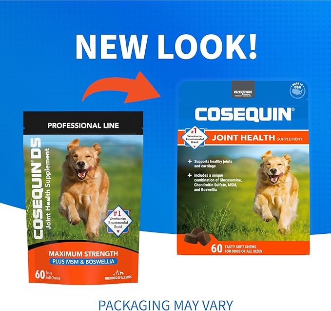 Nutramax Laboratories Cosequin DS Plus MSM Professional Line for Dogs,60 Soft Chews,(Pack of 2)